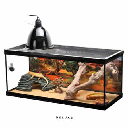 Deluxe Bearded Dragon Setup