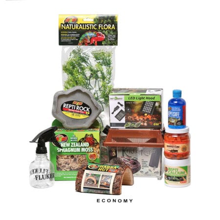 Reptile care starter kit with moss, lighting, and supplements for terrariums.