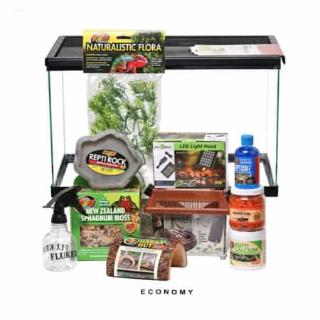 Reptile habitat setup with plants, lighting, and care products for reptiles and amphibians.