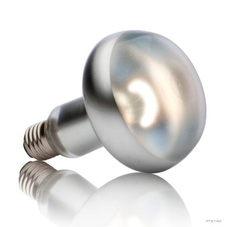 Exo Terra Intense Basking Spot