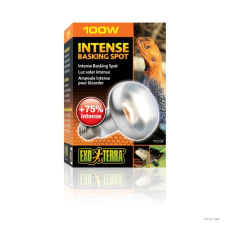 Exo Terra Intense Basking Spot