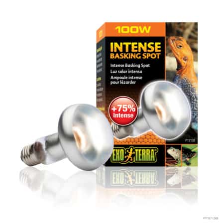 Exo Terra Intense Basking Spot