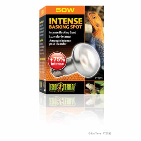 Exo Terra Intense Basking Spot