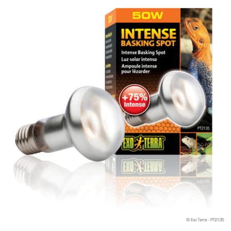 Exo Terra Intense Basking Spot
