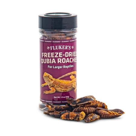 Fluker's Freeze-Dried Dubia Roaches