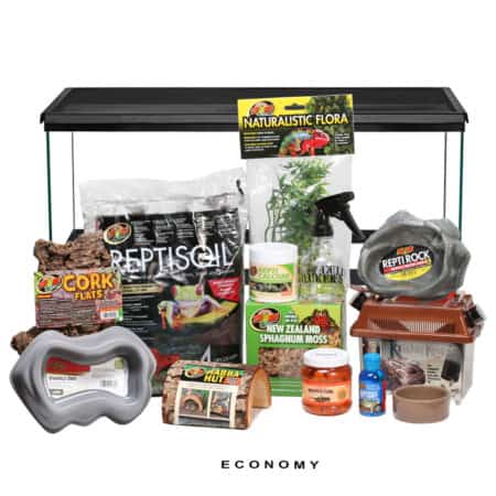 COMPLETE Red Eye Crocodile Skink Setup