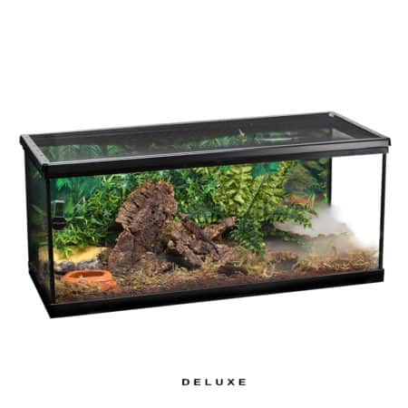 Reptile terrarium featuring lush plants, rocks, and natural substrate for reptiles and amphibians. P.