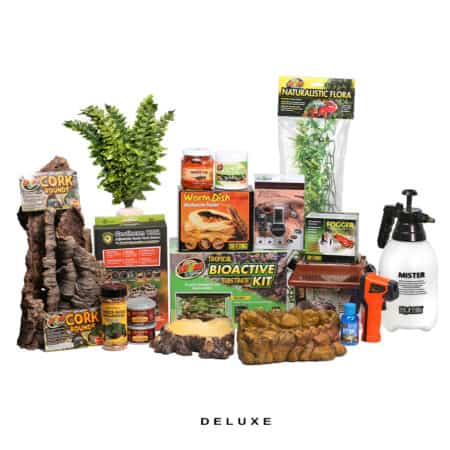 COMPLETE Red Eye Crocodile Skink Setup