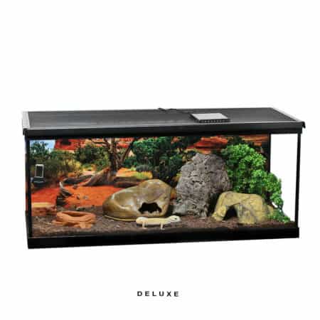 Large reptile terrarium with desert-themed decor and rocks for reptiles and snakes.