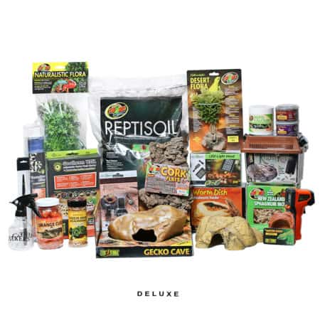 COMPLETE Leopard Gecko Setup Deluxe Without Tank