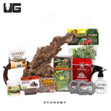 Reptile habitat essentials including cork bark, plants, and cleaning spray for reptiles.
