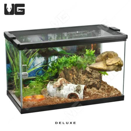 Reptile terrarium with plants, rocks, and hiding spots for reptiles and amphibians. Perfect habitat.