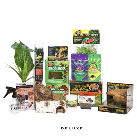 Deluxe New Caledonian Gecko Setup