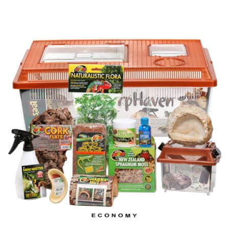 Newt-And-Salamander-Setup