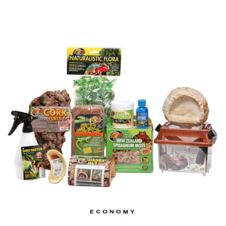 Newt-And-Salamander-Setup