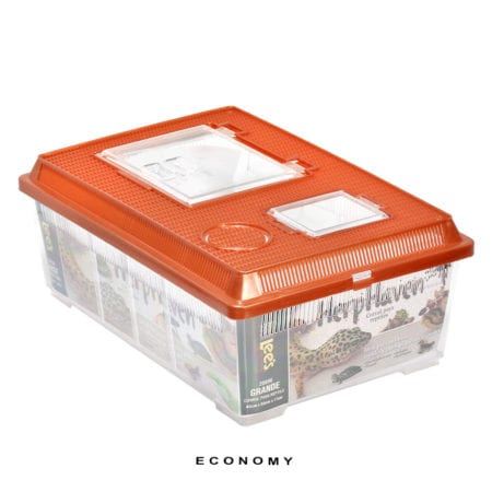 Newt-And-Salamander-Setup