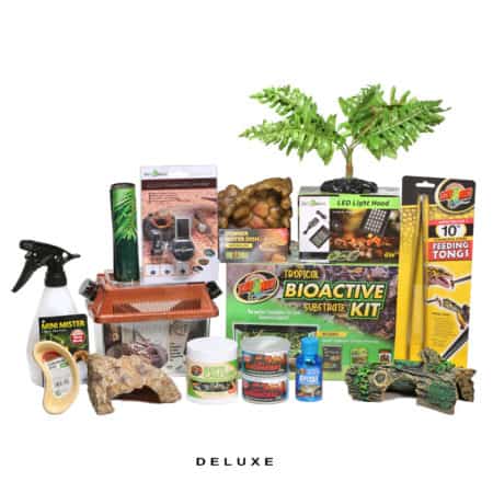 Newt-And-Salamander-Setup