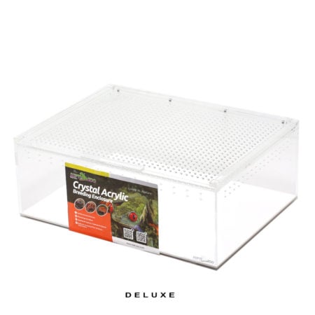 Newt-And-Salamander-Setup