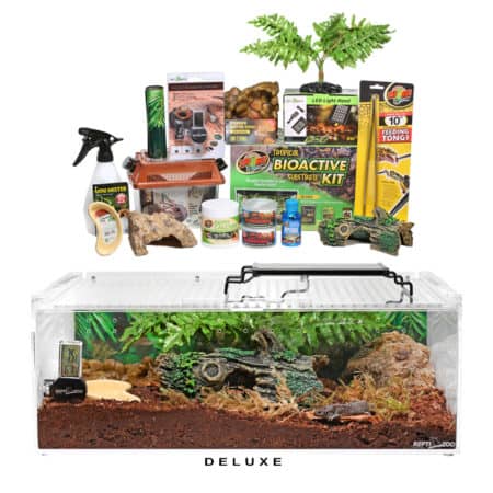 Newt-And-Salamander-Setup