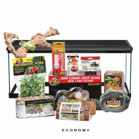 Reptile habitat with plants, rocks, and accessories for terrarium setup.