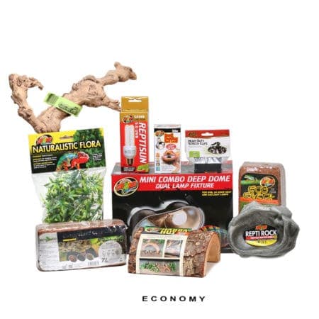 High-quality reptile habitat essentials and care products for enthusiasts.
