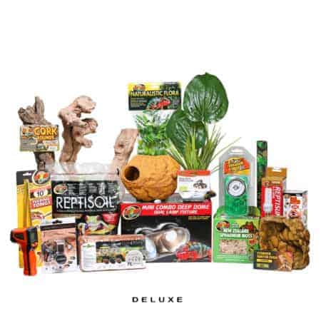 Deluxe Ground Boa Setup