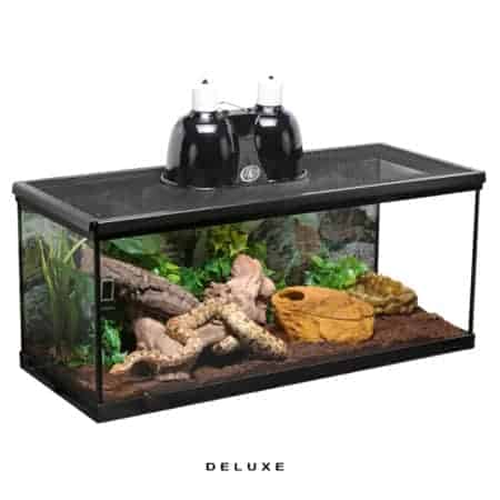 Deluxe Ground Boa Setup