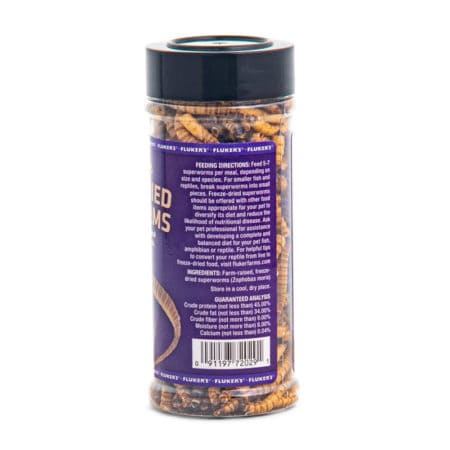 Feeder insects in a clear plastic container, ideal for reptiles and amphibians.