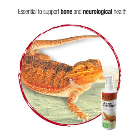 Reptile calcium supplement for bone and neurological support.