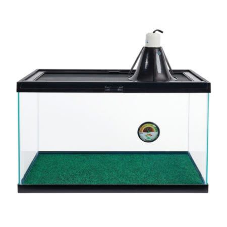 Reptile terrarium with water fountain and green substrate for habitat enrichment.