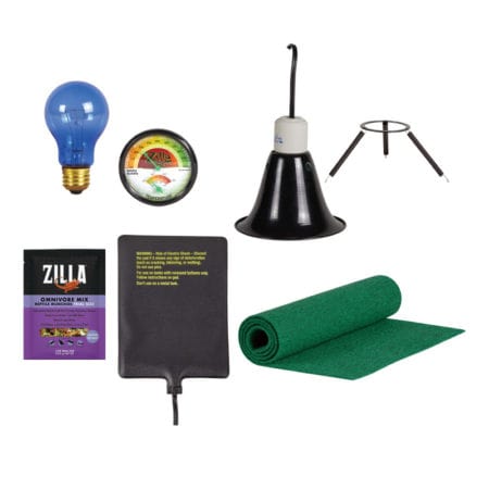 Reptile habitat heating and monitoring equipment including a blue light bulb, thermometer, and heat.