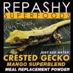 Crested Gecko on leaf with Reptile Superfoods packaging in background.