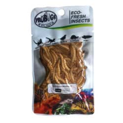 ProBugs Eco-Fresh Mealworm - 0.7 oz
