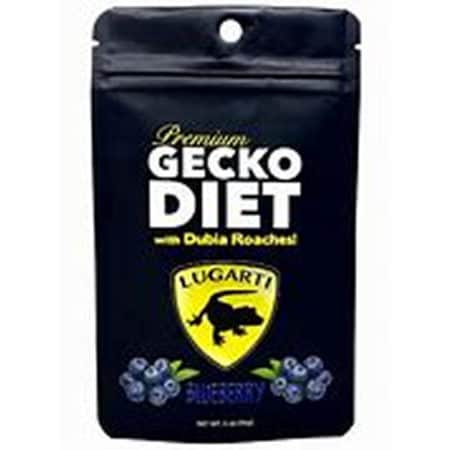 Gecko diet supplement with blueberries for reptile nutrition.