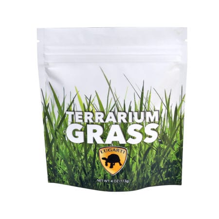 Fresh terrarium grass for reptile habitats, ideal for creating natural environments.