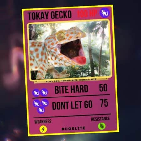 Tokay Gecko collectible card featuring attack and resistance stats for reptile enthusiasts.