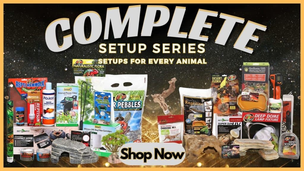 complete-animal-setups
