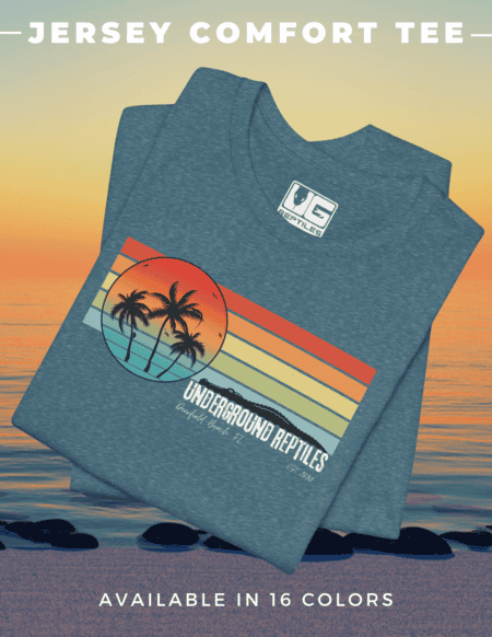 Retro Sunset Shirts - Underground Reptiles