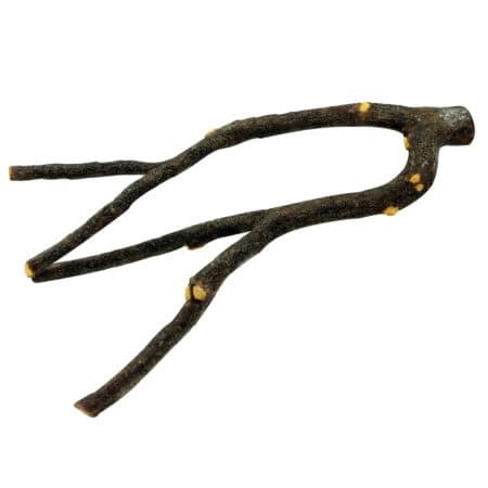 Living World Arboreal Branch