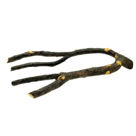 Living World Arboreal Branch