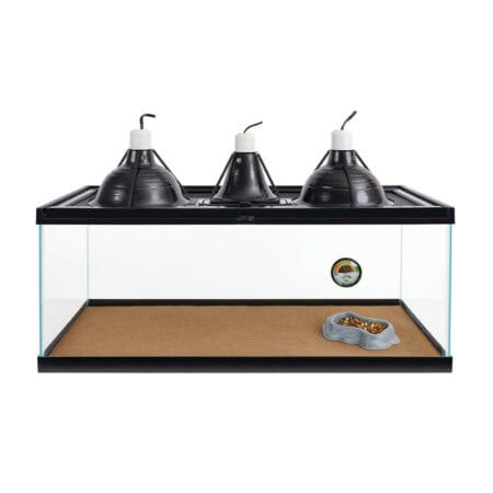 Zilla Bearded Dragon Kit