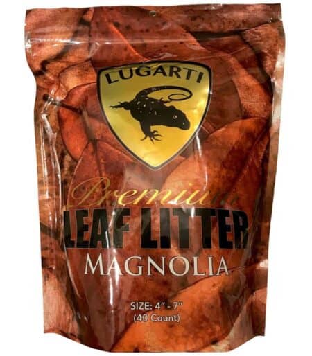 Lugarti Premium Leaf Litter Magnolia-30ct