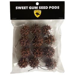 Lugarti Sweet Gum Seed Pods