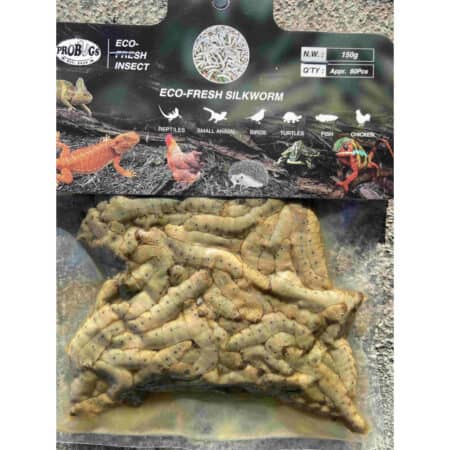 ECO-FRESH SILKWORM for reptiles, birds, and small animals, a natural insect protein source.