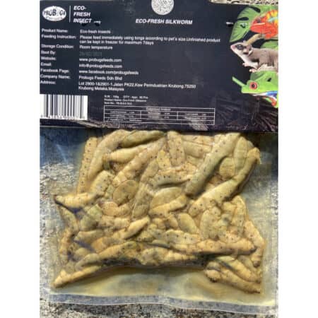 Reptile-safe eco-fresh silkworms in sealed packaging for feeding.