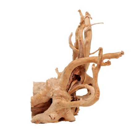 Galapagos Spider Wood Natural 12 - 24 inches