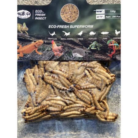 ProBugs Eco-Fresh Superworms