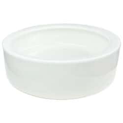 Lugarti White Insect Feeder Dish