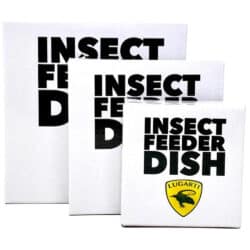 Lugarti White Insect Feeder Dish