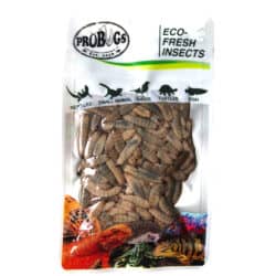 ProBugs Eco-Fresh Black Soldier Fly Larvae